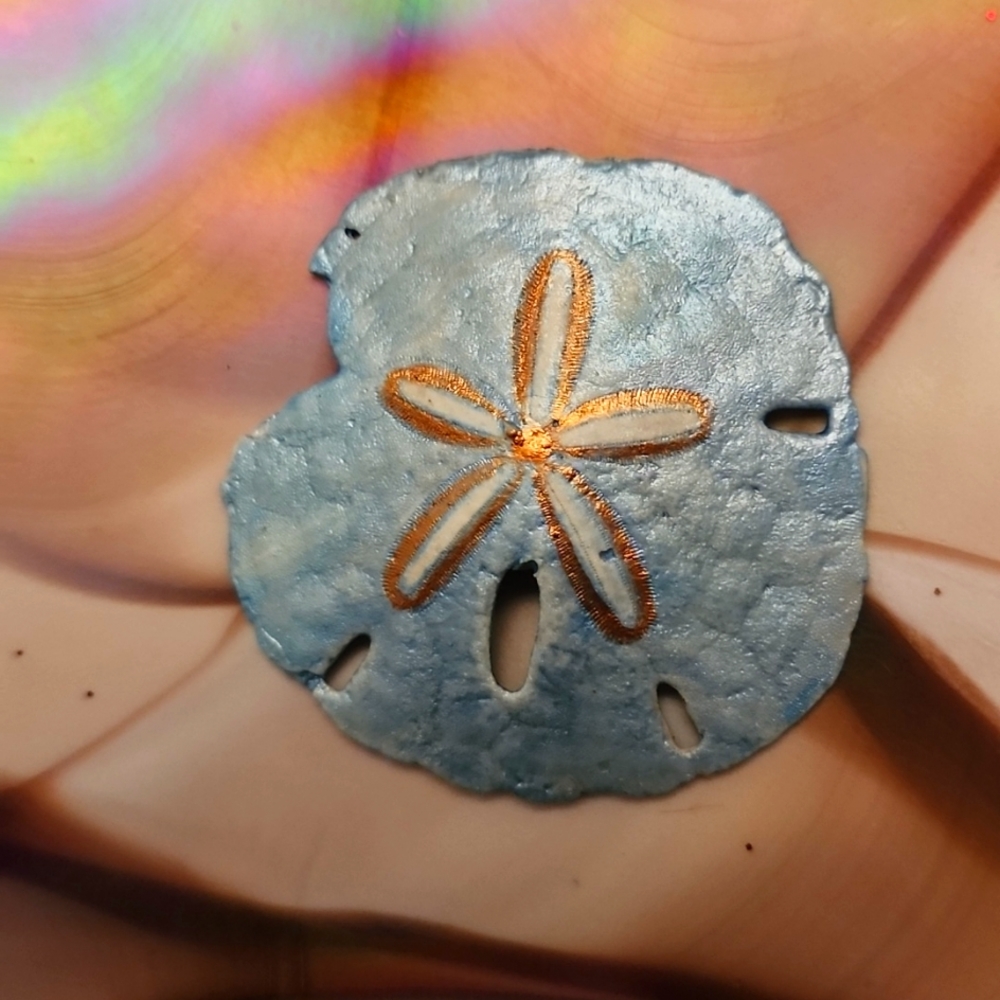 Hand painted sand dollar